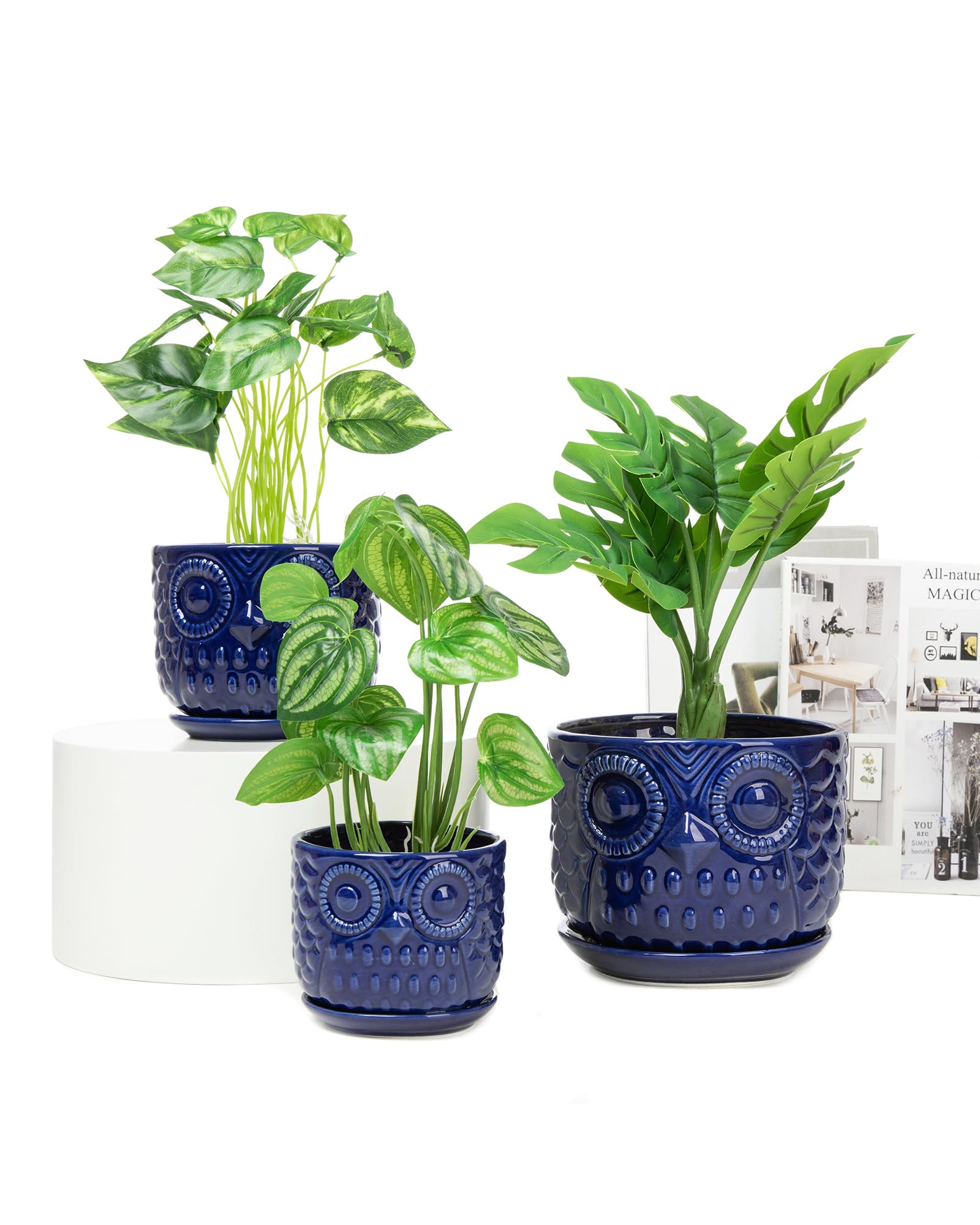 Vasi da fiori in ceramica, fioriere in ceramica con foro di drenaggio e sottovaso, moderne fioriere rotonde per piante grasse da interni con design a gufo, di piccole e medie dimensioni, set da