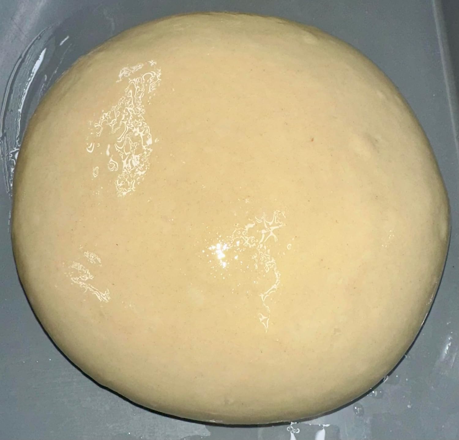 Fresh Made New York Style Pizza Dough, 10.5 oz (Small 10.5 oz)