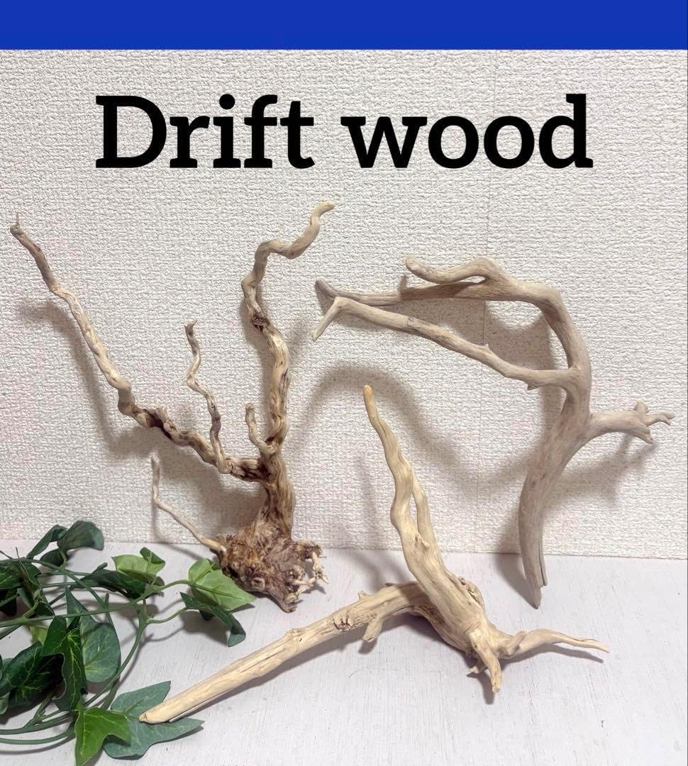 【大型流木】85cm アク抜き消毒済み 大型流木】85cm アク抜き消毒済み 大型流木】85cm アク抜き消毒済み 2025年