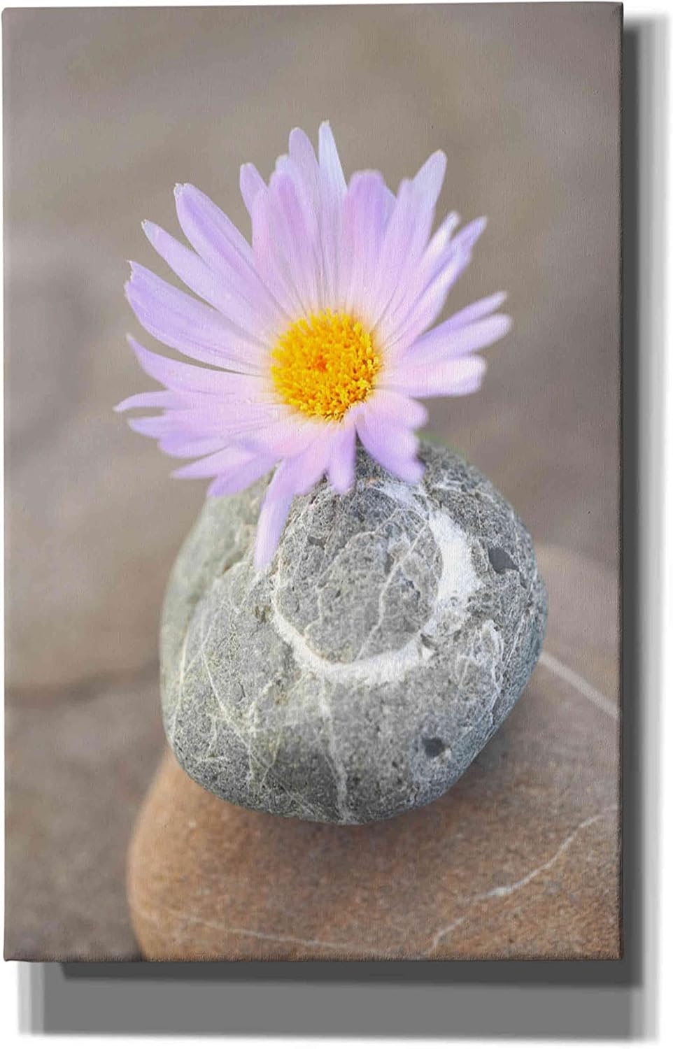 Epic Graffiti 'Zen Flower Meditation' by Elena Ray, Canvas Wall Art, 26"x40"