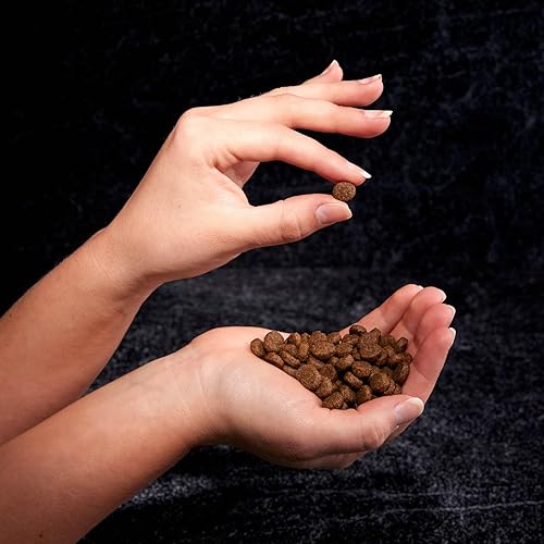 Miniatura 9 de Crave Comida con proteína para perros, libre de granos, adulto