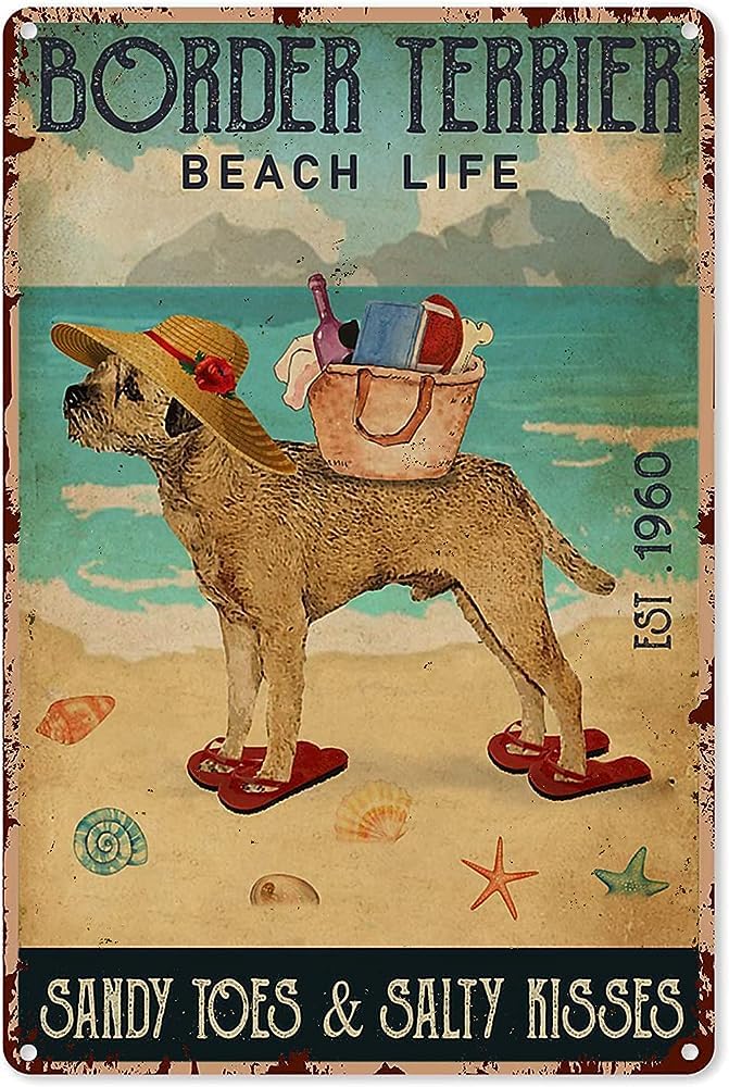 Funny Metal Signs Beach Life Sandy Toes Salty Kisses Border Terrier Retro Tin Signs Vintage for Metal Tin Sign Home Wall Art 8x12 Inch