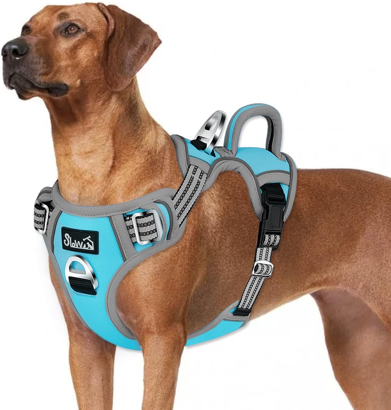 SlowTon No Pull Dog Harness, No Choke Pet Harness with 2 Leash Clips and Easy Control Vertical Handle, Adjustable Soft Padded Dog Vest for Small, Medium and Large Dogs (Blue, X-Large)