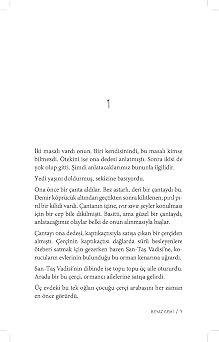 Beyaz Gemi