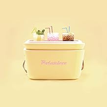 Amazon.es: Nevera Corcho 25L