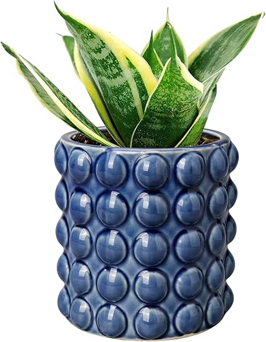 Maceta de Cerámica de 6 Pulgadas para Plantas de Interior con Orificio de Drenaje, Macetero de Burbujas para Flores, Macetero de Hobnail, Macetero