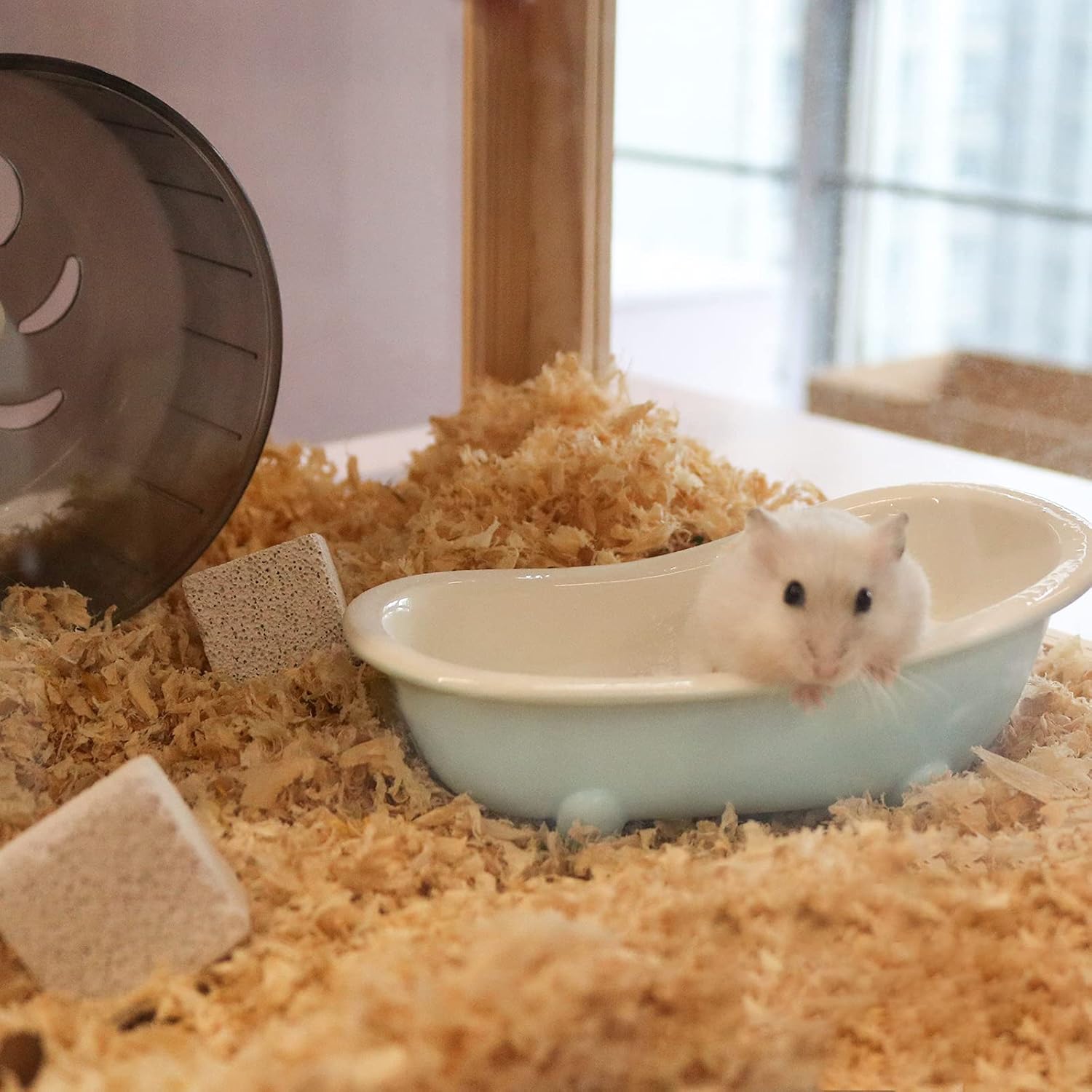 kaytee ceramic critter bath large