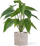 Mkono Faux plants en pot de céramique, 11" Plantes artificielles en pot pour décoration maison Plante de feuilles vertes à l'intérieur avec planteur blanc moderne pour plateau de bureau Décoration de salle de bureau (Pothos)