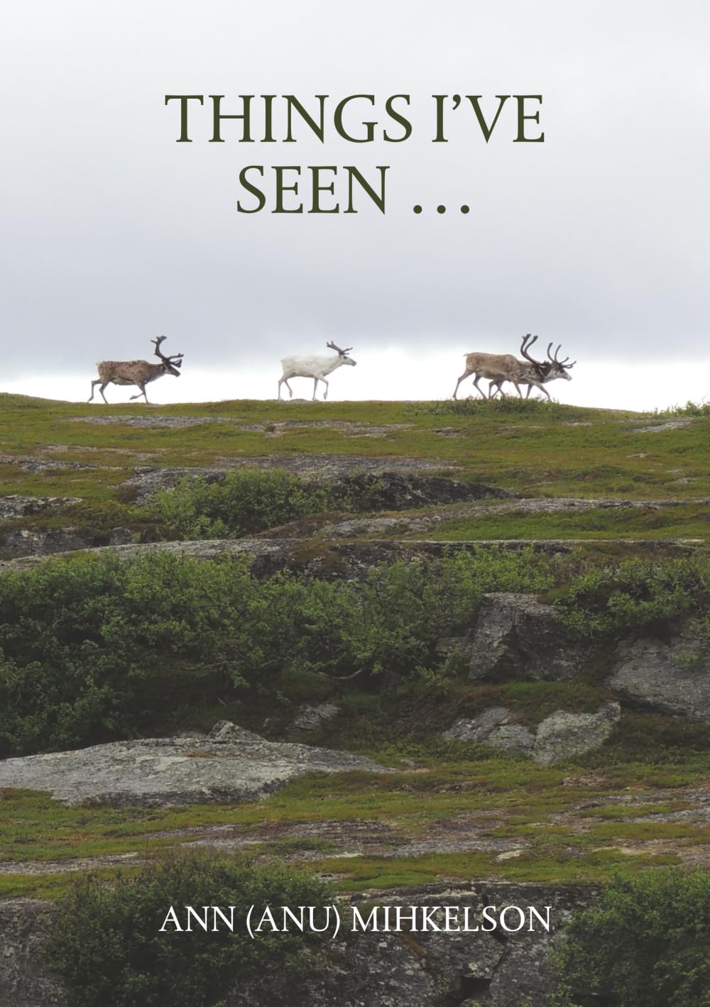 Things I’ve Seen …