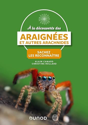 A la découverte des araignées et autres arachnides
