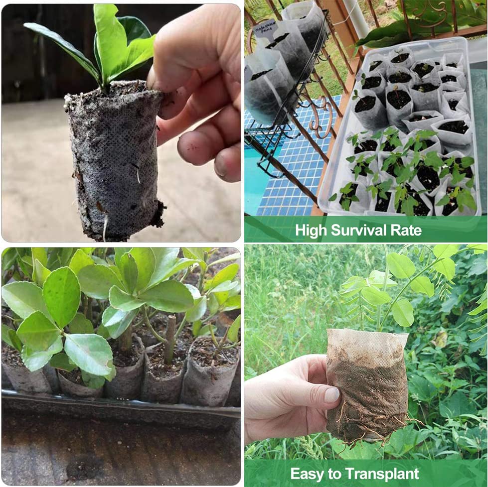 100 Sacs De Plantation Biodégradables Non-Tissé - 2 Tailles Pour Semis, Légumes, Fleurs - Larrel