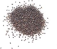 Vista 5 de Semillas de hierba gatera - Nepeta cataria para plantar, más de 2200 semillas de hierbas, cultivo en interiores o exteriores, reliquia, sin OMG, a