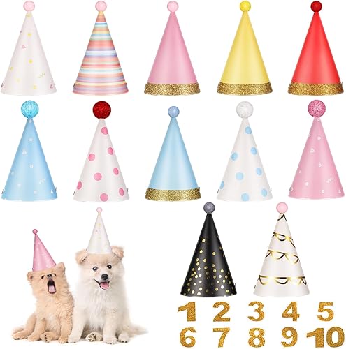 Gueevin Sombrero de fiesta de cumpleaños de perro de 12 piezas para cachorros de mascotas, sombrero de fiesta de cumpleaños para mascotas con