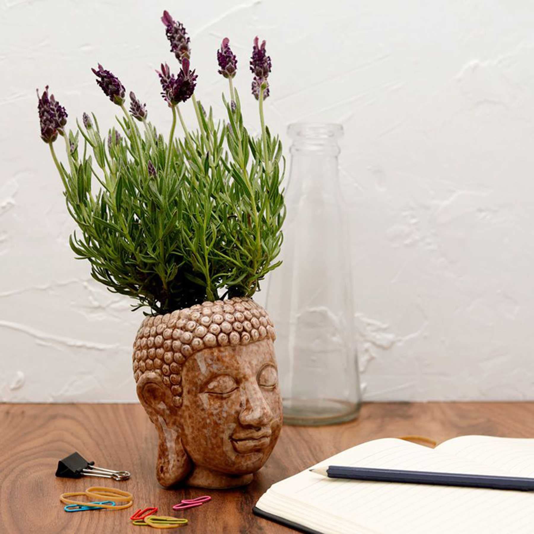 Mtb More Energy Deko Wandvase „Brain Plant“ – Schädel-Blumentopf Aus Keramik, 12x9x7 Cm, Zum Aufhängen