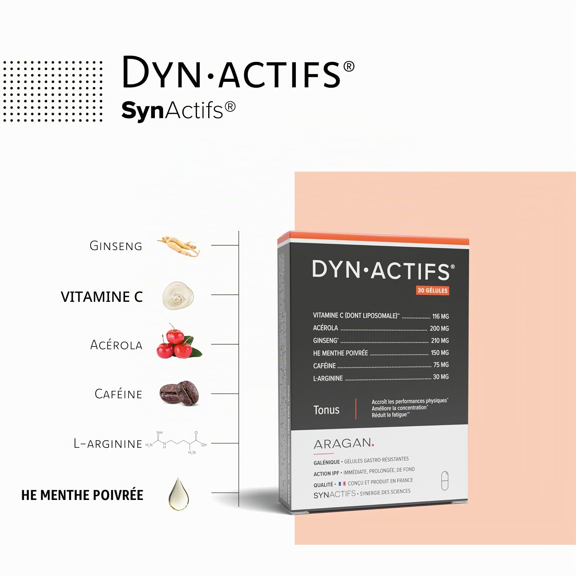 ARAGAN - Synactifs Lot de 2 Dynactifs - Complément Alimentaire Anti-Fatigue - Ginseng, Acérola, Caféine, Vitamine C et Menthe Poivrée - 60 gélules - 1 mois de prise - Fabriqué en France