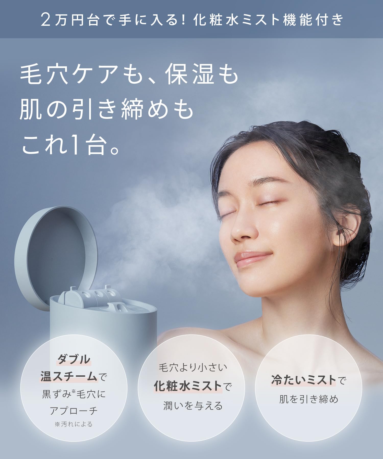 Amazon.co.jp: Salonia Pure Bright Steamer, Gray (Amazon.co.jp