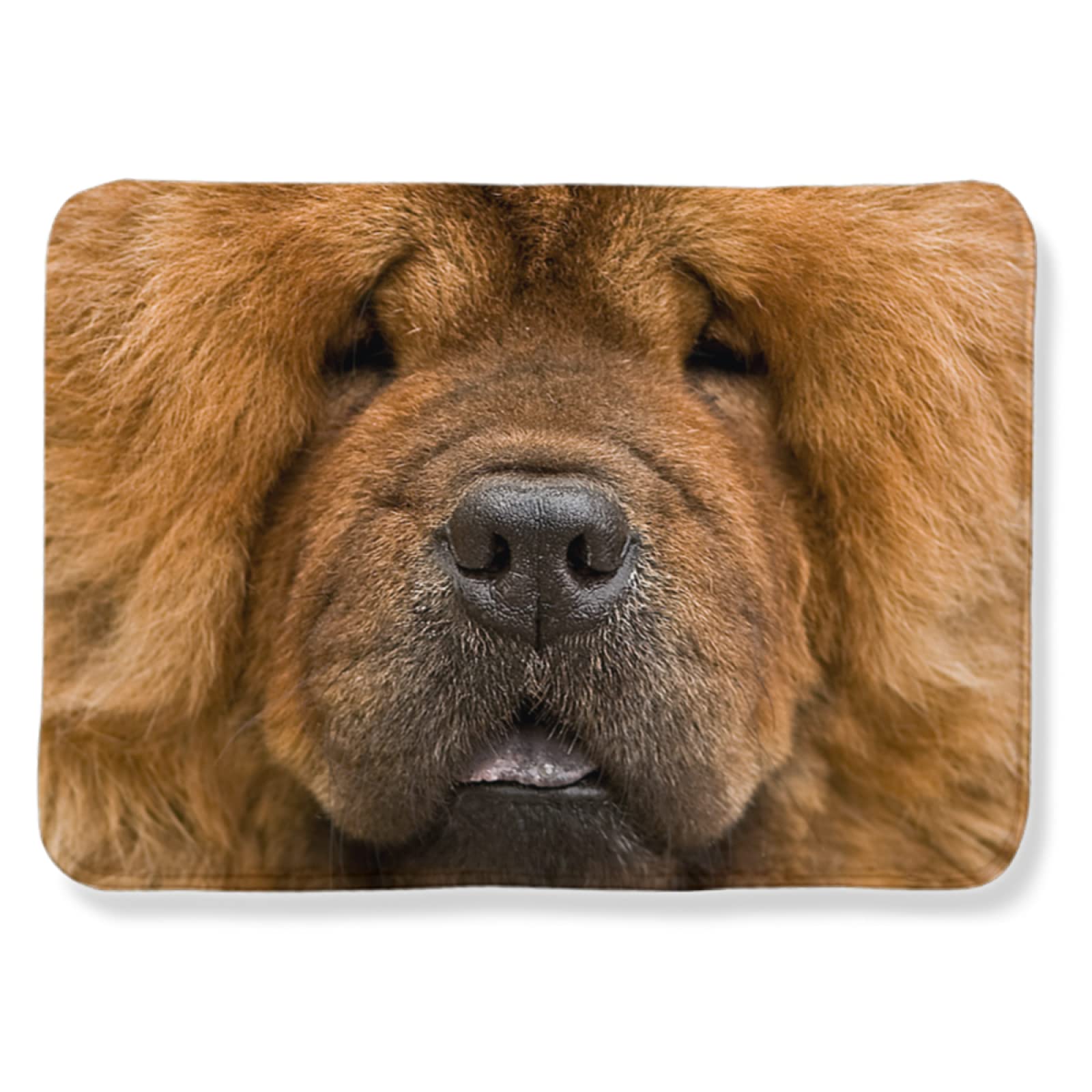 Chow Chow Tapis moderne antidérapant pour salon, chambre à coucher, salle à manger, couloir, décoration d'intérieur, grande taille, 200 x 150 cm