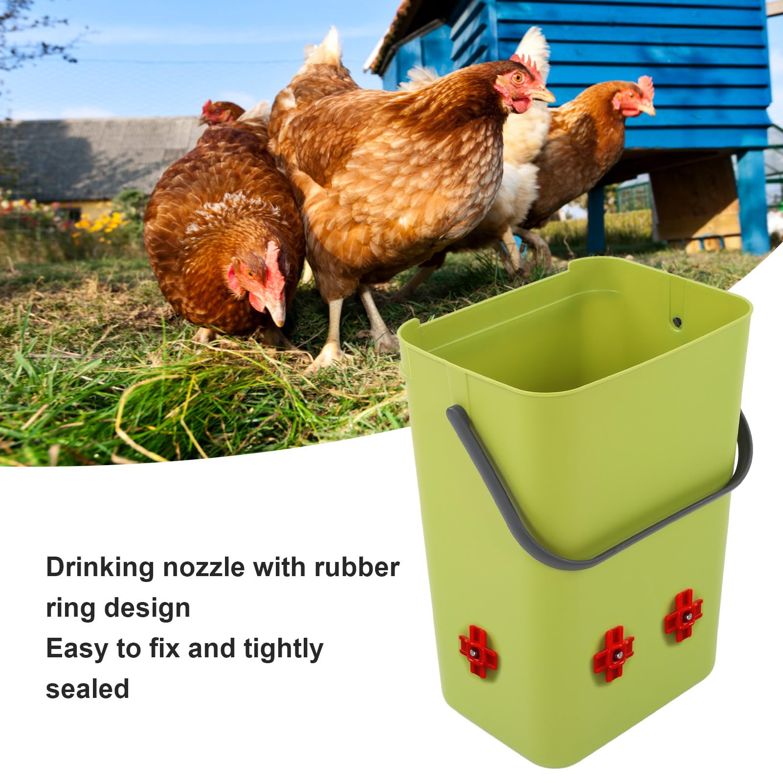 Abbeveratoio per Pollo con 4 ugelli, Abbeveratoio Automatico per Capezzoli per Pollame da 12 Litri, Abbeveratoio Automatico per Pollame in plastica per l'alimentazione del