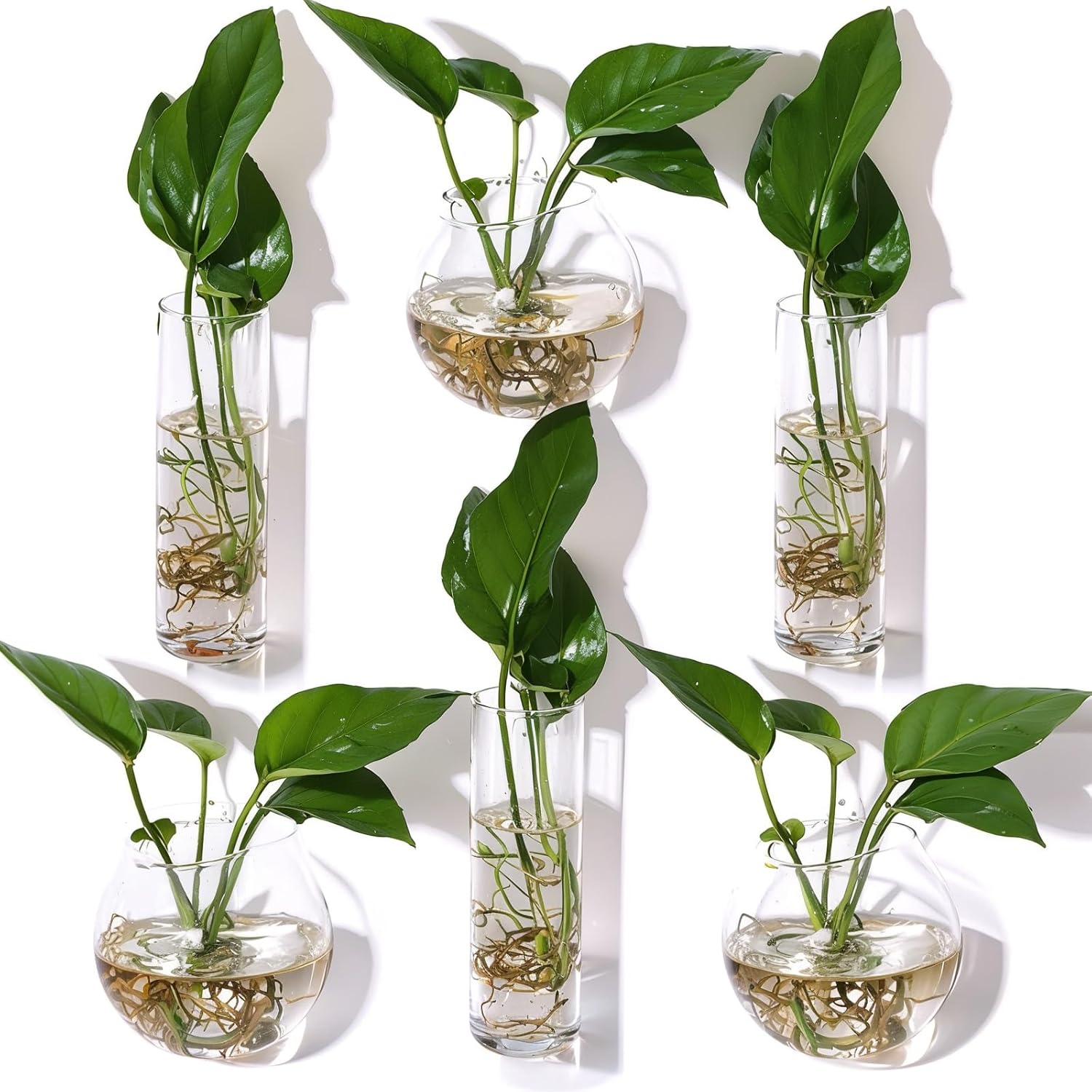 Baderke 5 Pcs Glass Wall Vase Wall Hanging Plant Decor Set Indoor Hydroponic Decor with Plastic Invisible Traceless Hangers Propagation Vases for Hydroponic Plant Succulent Garden Wedding Decor