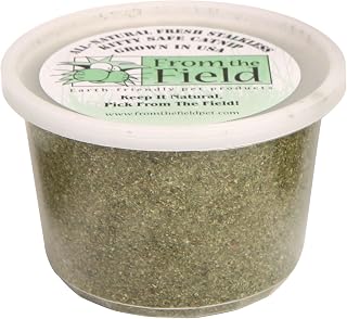 From The Field Fine Ground Stalkless Catnip - Premium USA-Grown, Potent Fresh Catnip for Toys & Playtime | 3.5oz Resealable Tub