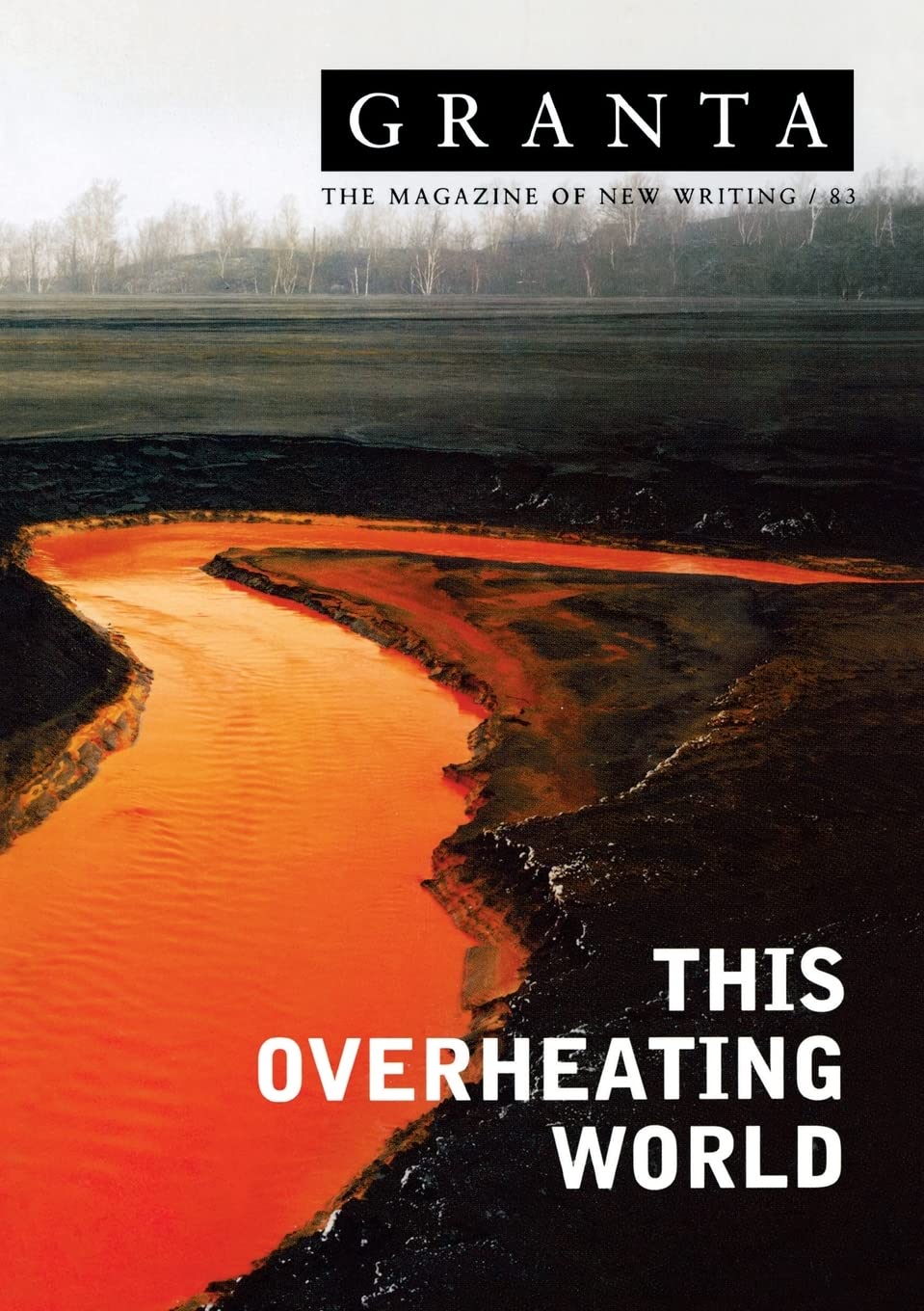 Granta 83: This Overheating World (Granta: The Magazine of New Writing)
