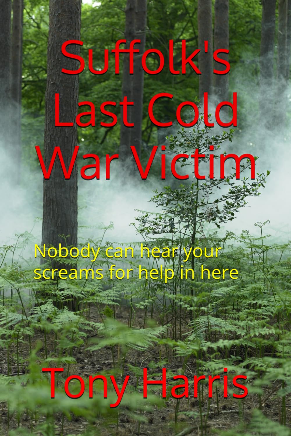 Suffolk's Last Cold War Victim: Nobody can hear your screams for help in here