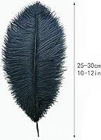 Vista 67 de 24 piezas de plumas de avestruz blanco natural de 10-12 pulgadas (25-30cm) para centros de mesa de bodas y fiestas, arreglos florales y decoración
