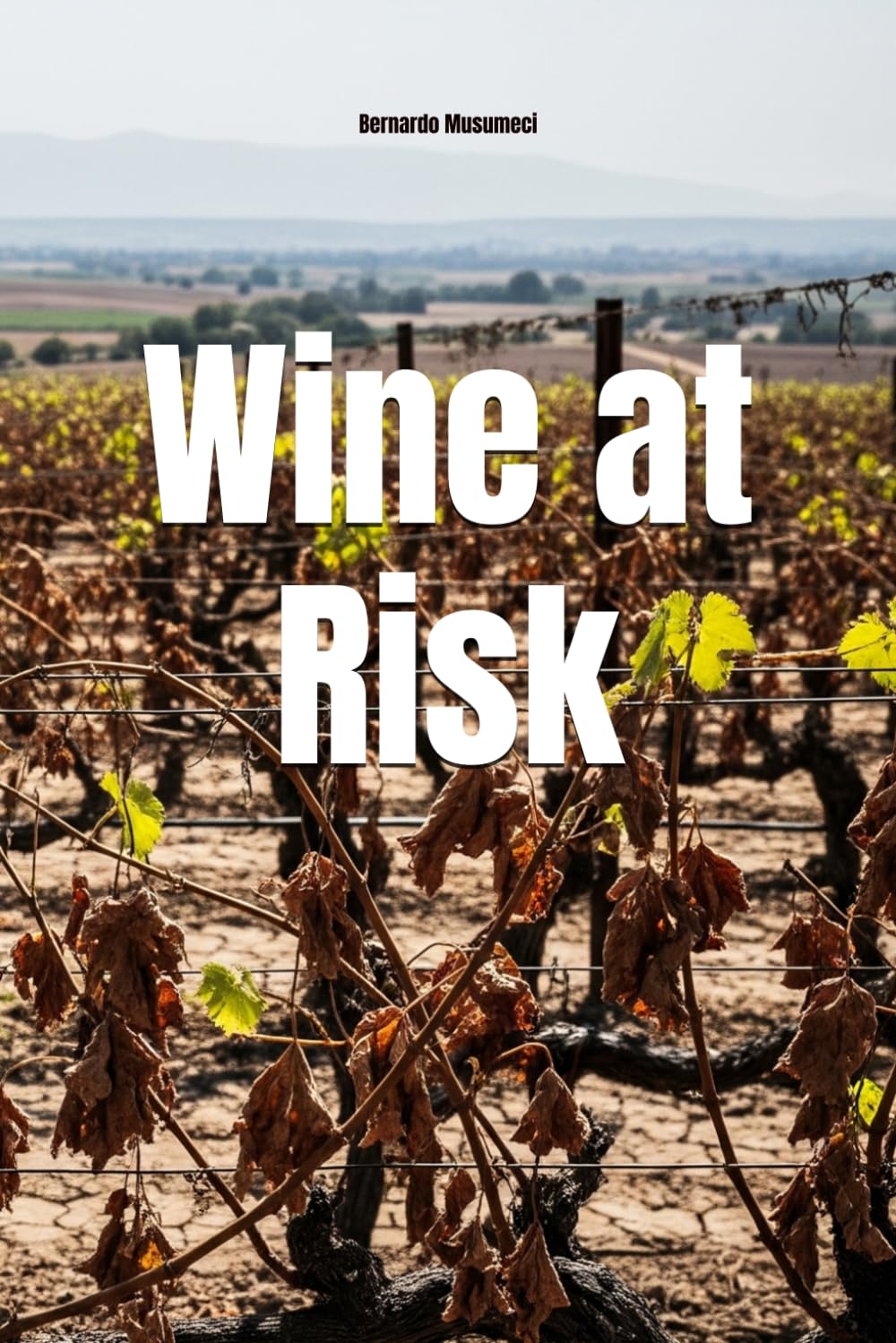 Wine at Risk: How Climate Change Is Redefining Global Terroir (Wines of the World)