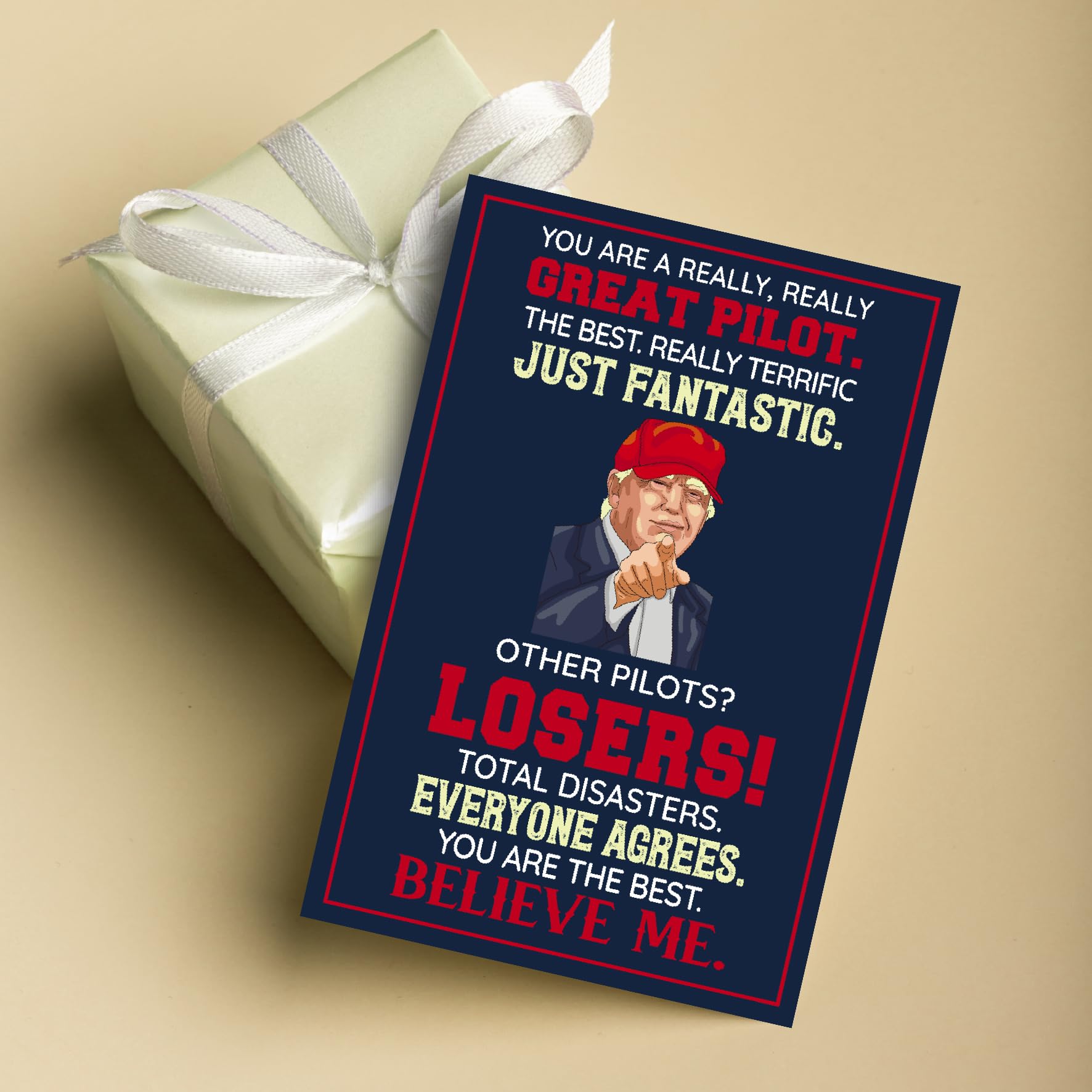 Funny Card for Pilot on Christmas, Birthday, Fathers Day, Humor Pilot Greeting Cards, Heartfelt Message for Men, Decorations for Aviation Man, Premium Quality