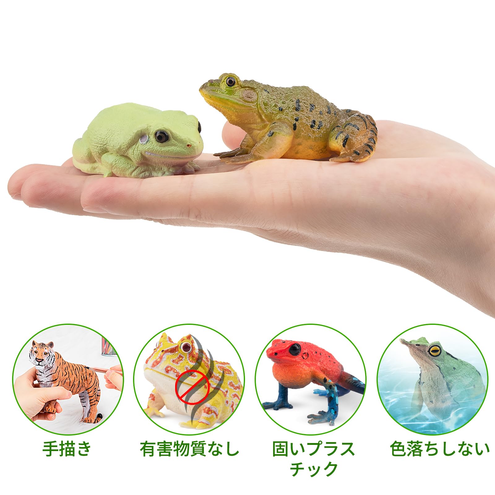 Amazon.co.jp: TOYMANY 12PCSカエルフィギュア 動物フィギュアセット 