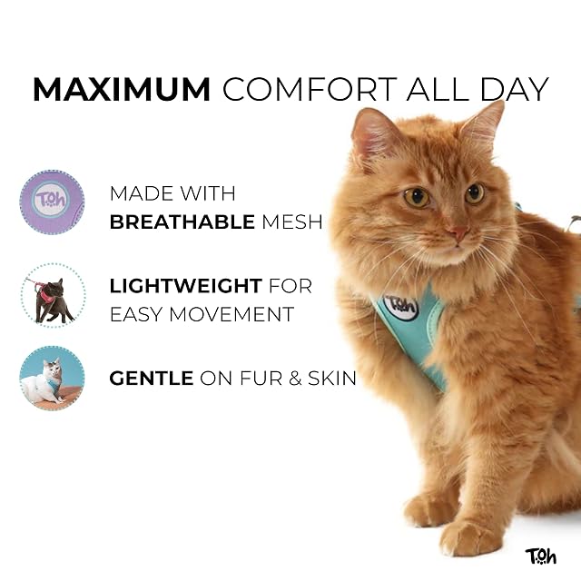 Foto 5 de 8 de TOH Juego de arnés para gato, diseño elegante con correas ajustables, fácil de usar y cómodo