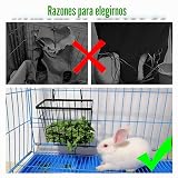 Ver la foto 6