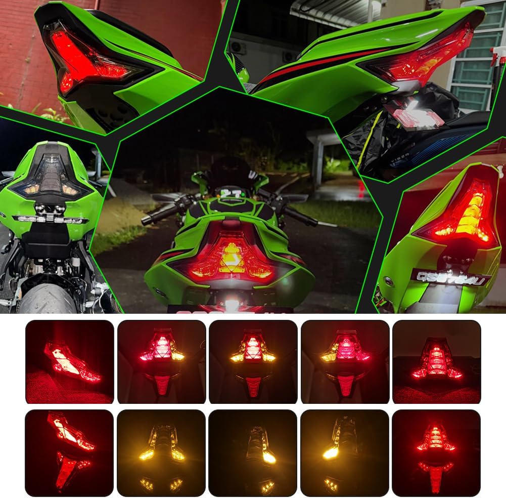 Motorcycle Integrated Tail Light with Turn Signals Daytime Running Light Brake Taillight Smoked Plug and Play Compatible with ZX6R ZX10R ZX10RR Z400 Z250 Z400 Z1000 Z1000R NINJA 400 250