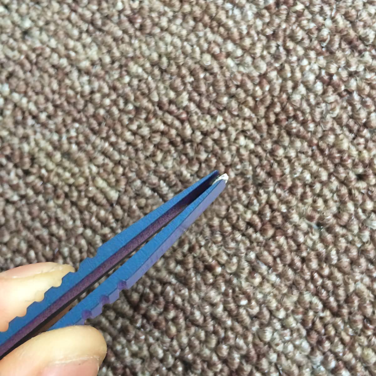 2 Mini Pinzette In Titanio, Pinzette EDC, Pinzette Di Precisione, Pinzette Portatili In Lega Di Titanio, Piccole Pinzette Portatili Per Raccogliere Pinzette Per Campeggio E Gadget All'aperto (blu