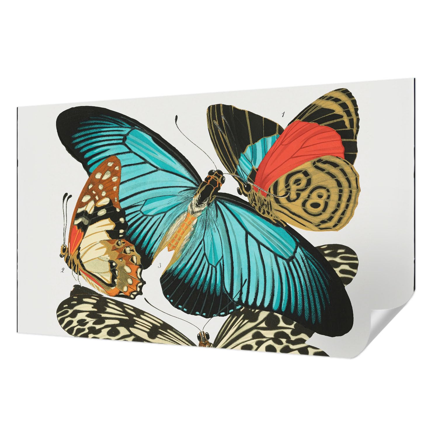 Papier peint autocollant lavable 416x254 cm pour rénover un mur sale avec des papillons