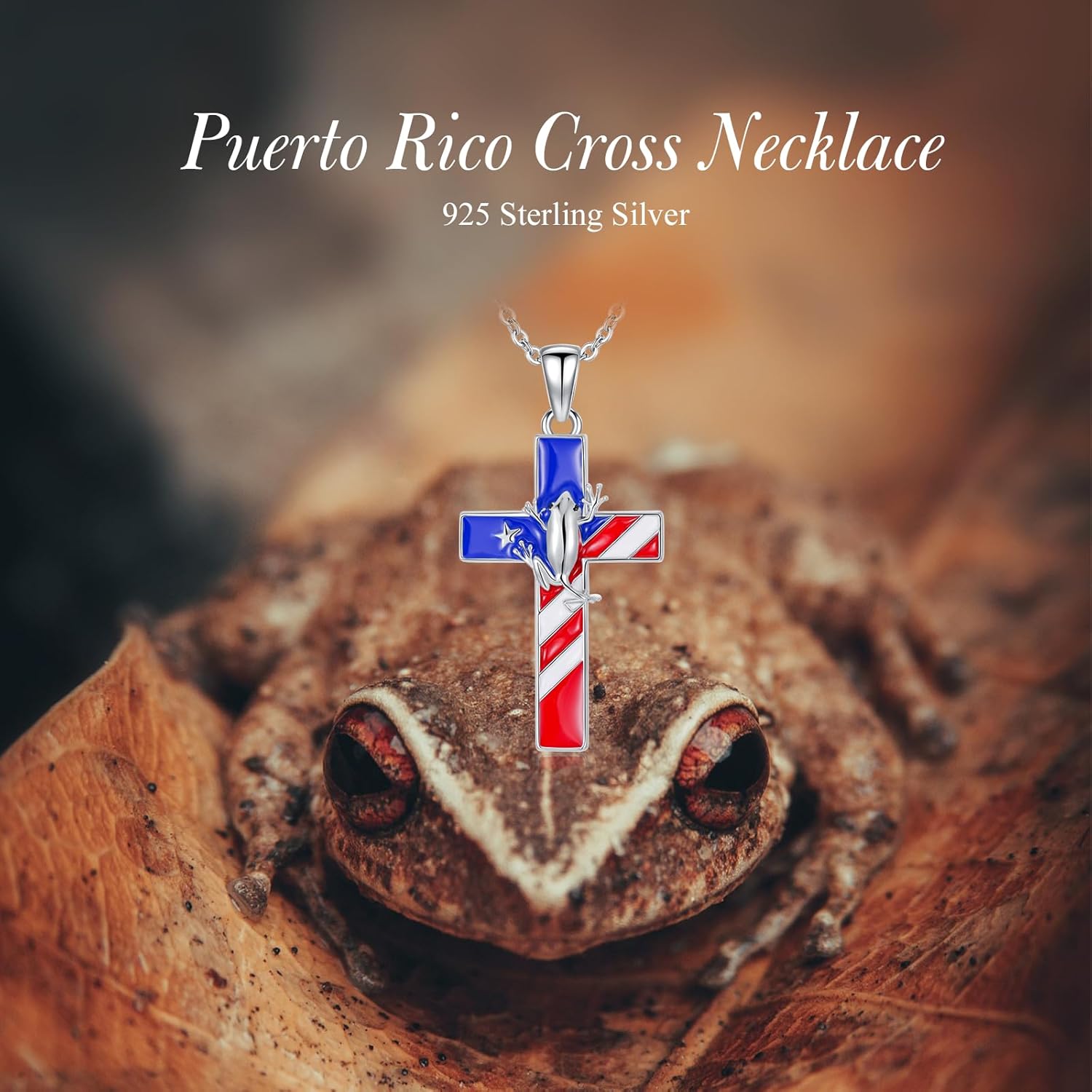 ROMANTICWORK Puerto Rico Map Cross Necklace for Men Women 925 Sterling Silver Puerto Rico Coqui Frog Pendant Memorial Jewelry Gifts for Boyfriend Husband Father