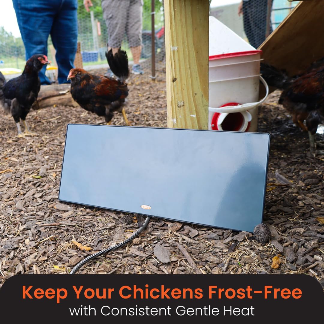 Cozy Products Cozy Coop Chicken Coop Heater Flat-Panel 150 Watts | Wall Mount or Free Standing Electric 150 Watts Safer Than Heat Lamps Warms Inside Chicken Coops Flat Panel 2 Inches Deep product thumbnail 4