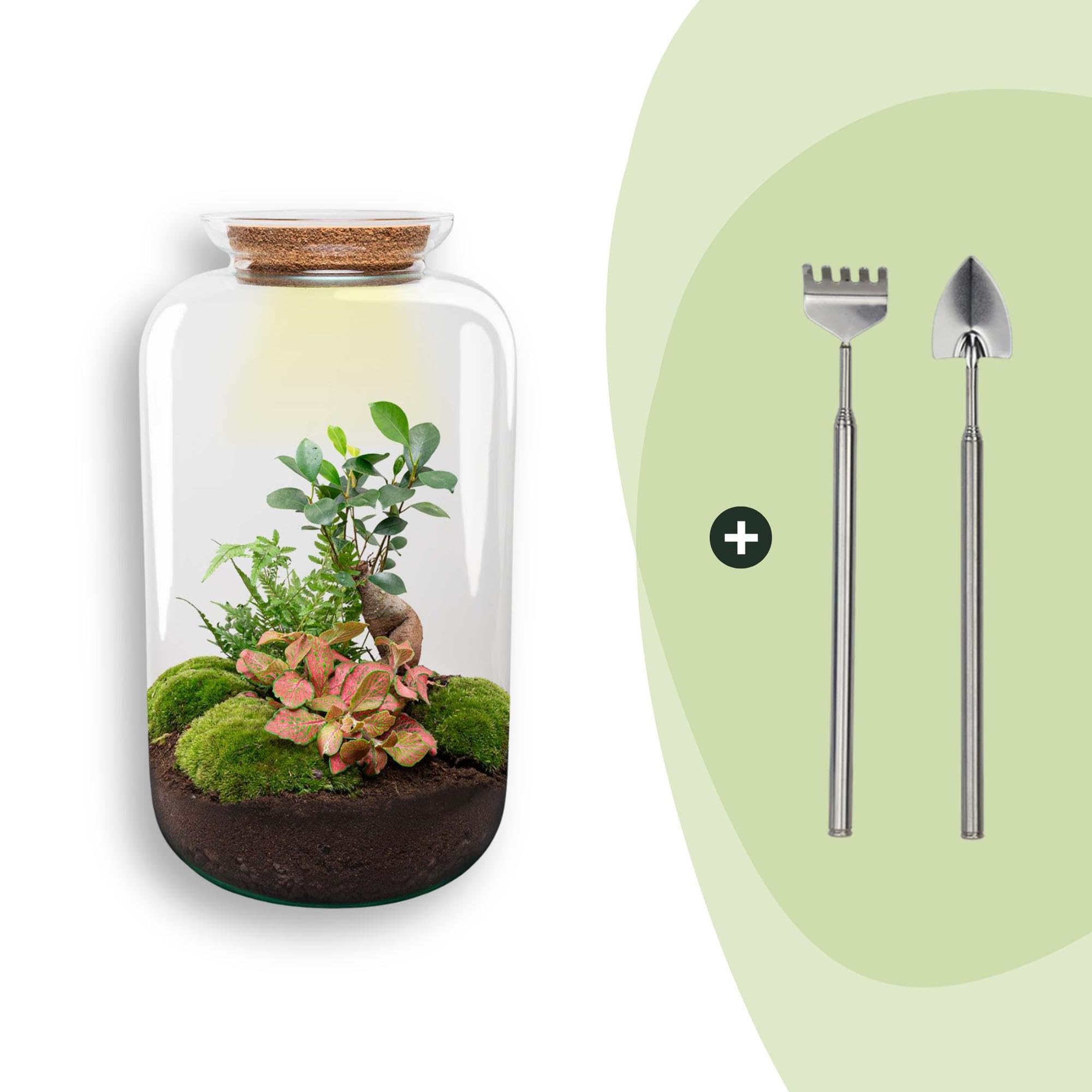 DIY Terrarium aus Glas, Flaschengarten mit Beleuchtung, Grün, H 43 cm