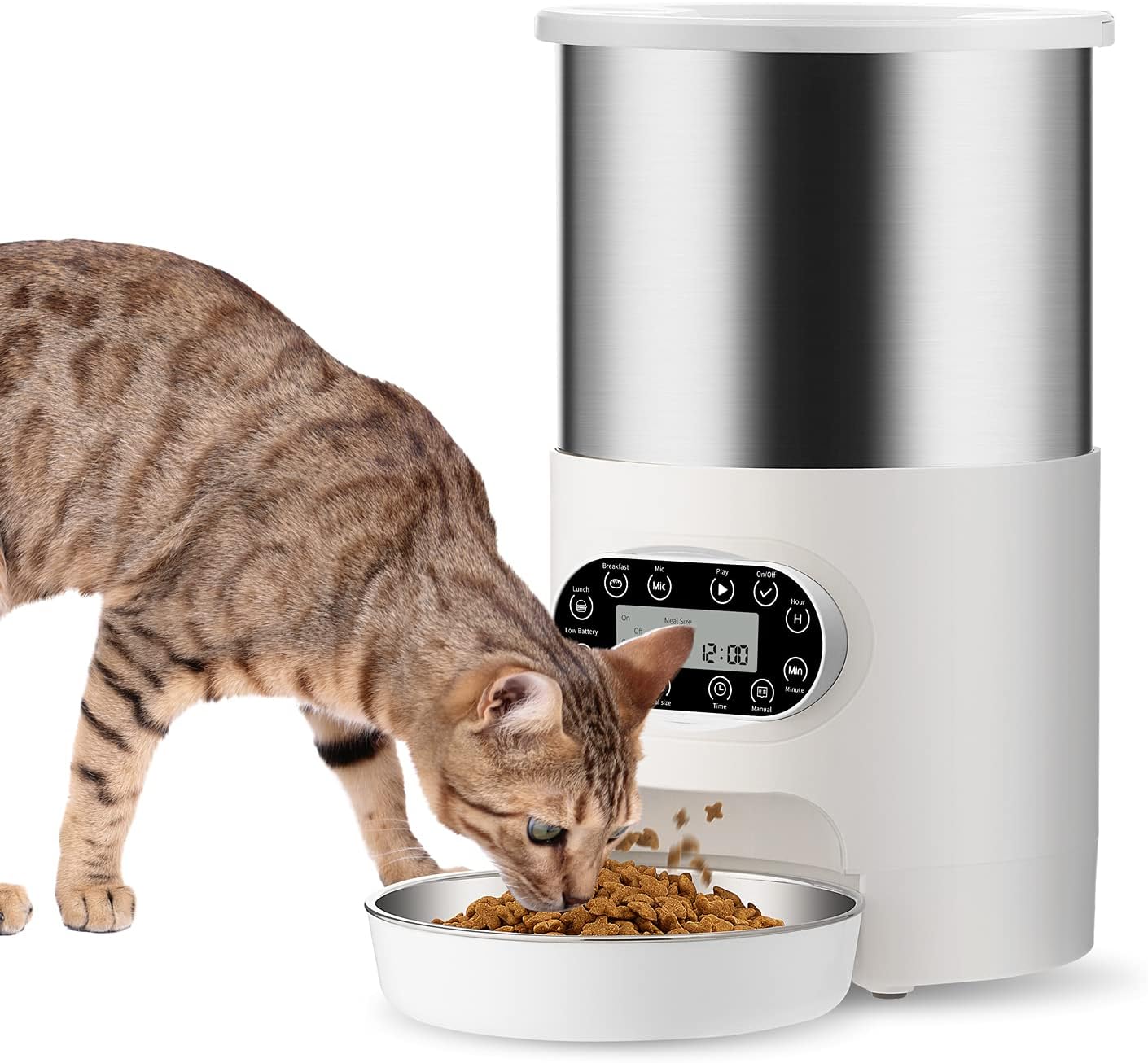 Buy Segorts Automatic Cat Feeder with Timer 4.5L Pet Food Dispenser