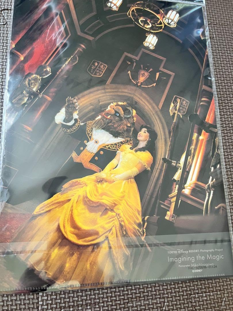 クリアファイル Imaginijng the Magic Amazon.co.jp: 東京リゾートImagining the Magic クリアファイル