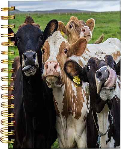 Cuaderno de diario en espiral, encuadernación fuerte de doble alambre con papel de primera calidad para niñas y mujeres, lindo cuaderno de 60 hojas