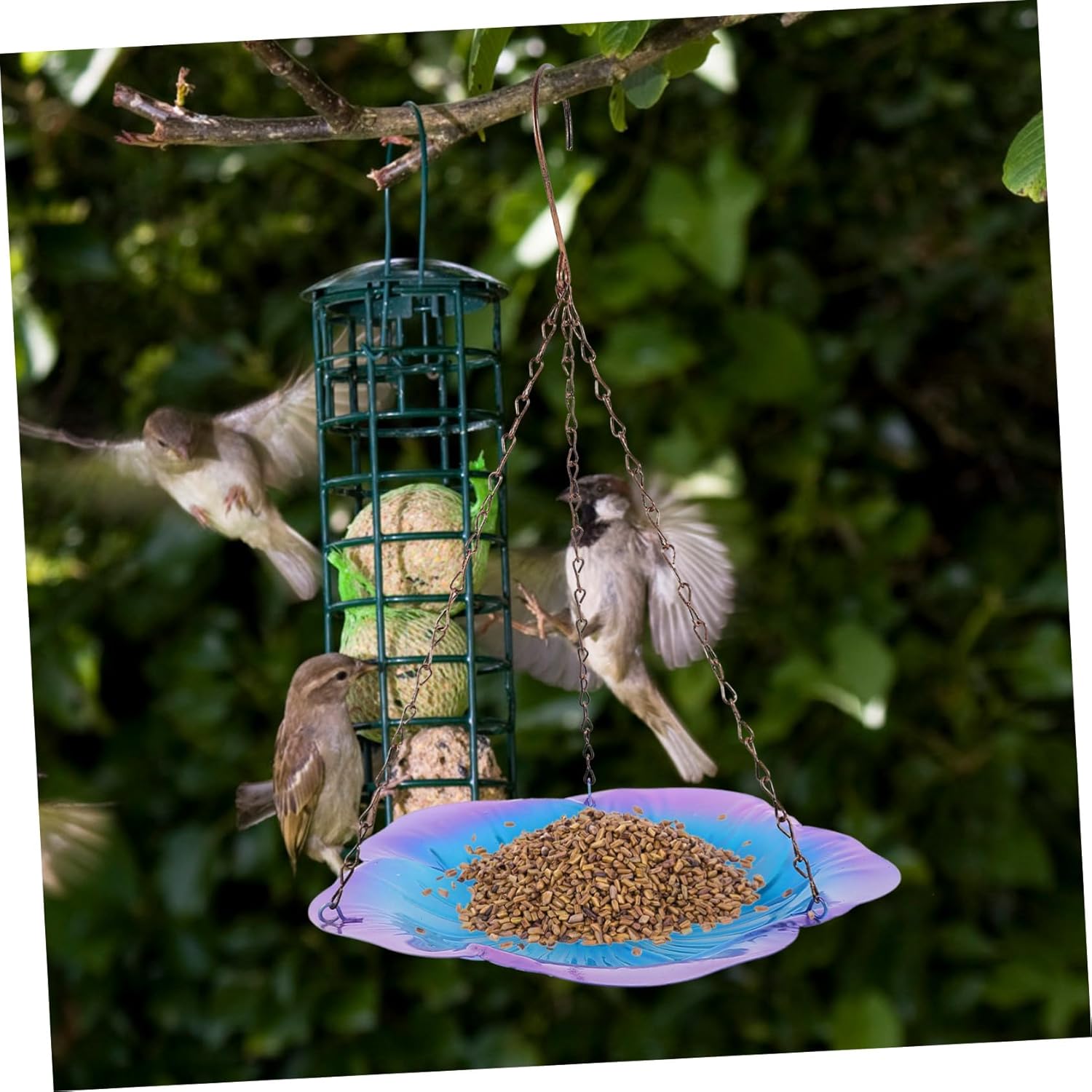 COLLBATH Outdoor Hanging Bird Feeder Sturdy Iron Tray Window Mounted Wild Bird Feeders for Garden Courtyard Easy to Maintain Purple Flower Design