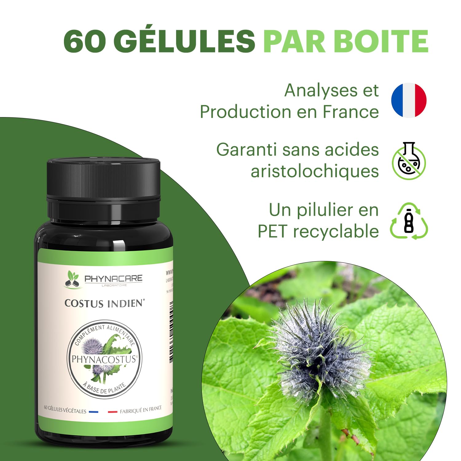 COSTUS INDIEN - COSTUS MARIN - 60 GÉLULES VÉGÉTALES - PHYNACOSTUS, FABRIQUE ET ANALYSÉ EN FRANCE, PHYNACARE LABORATOIRE