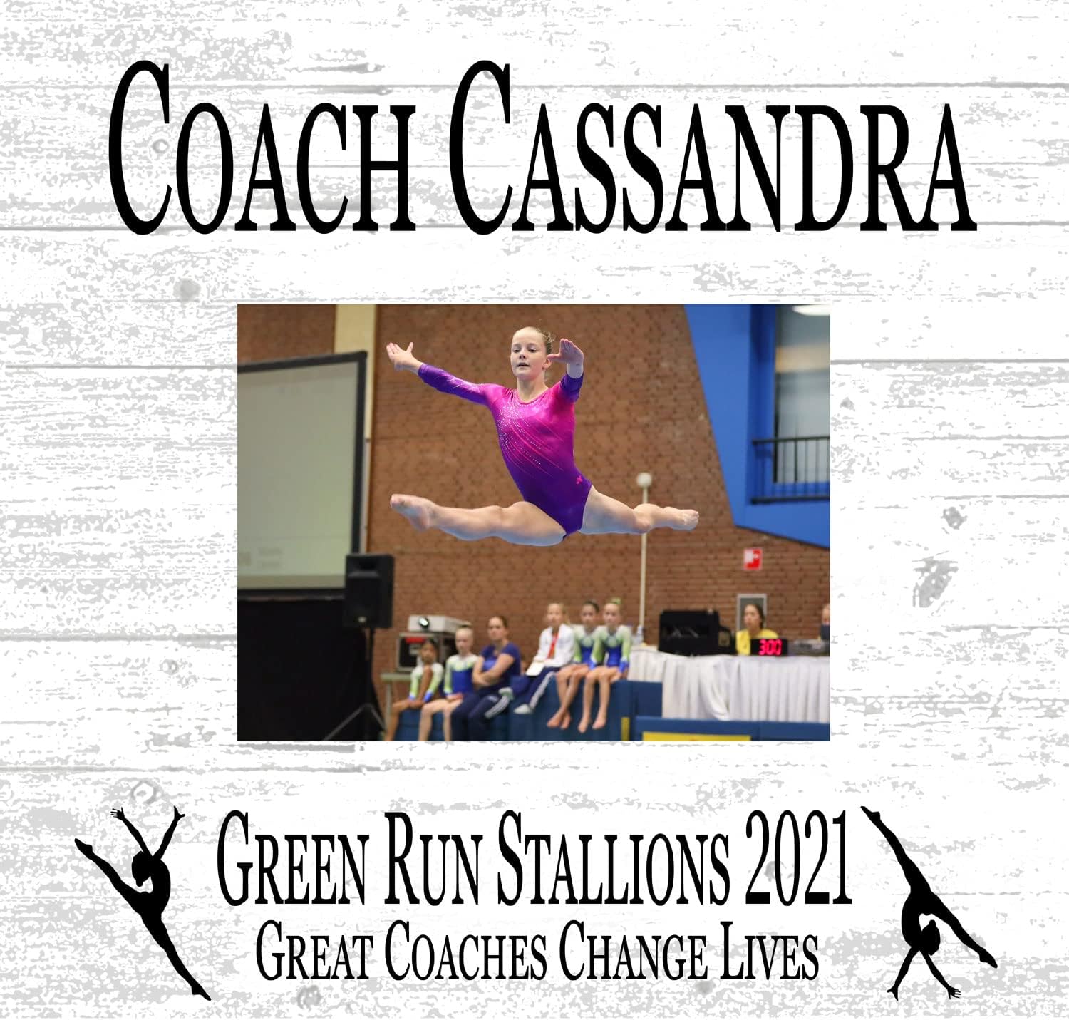 Broad Bay Gymnastics Coach Gift Plaque with Photo - UPLOAD Team Picture - Frame Alternative Personalized Appreciation Award For End Of Season Coaches Present 10in x 10in (Gymnastics)