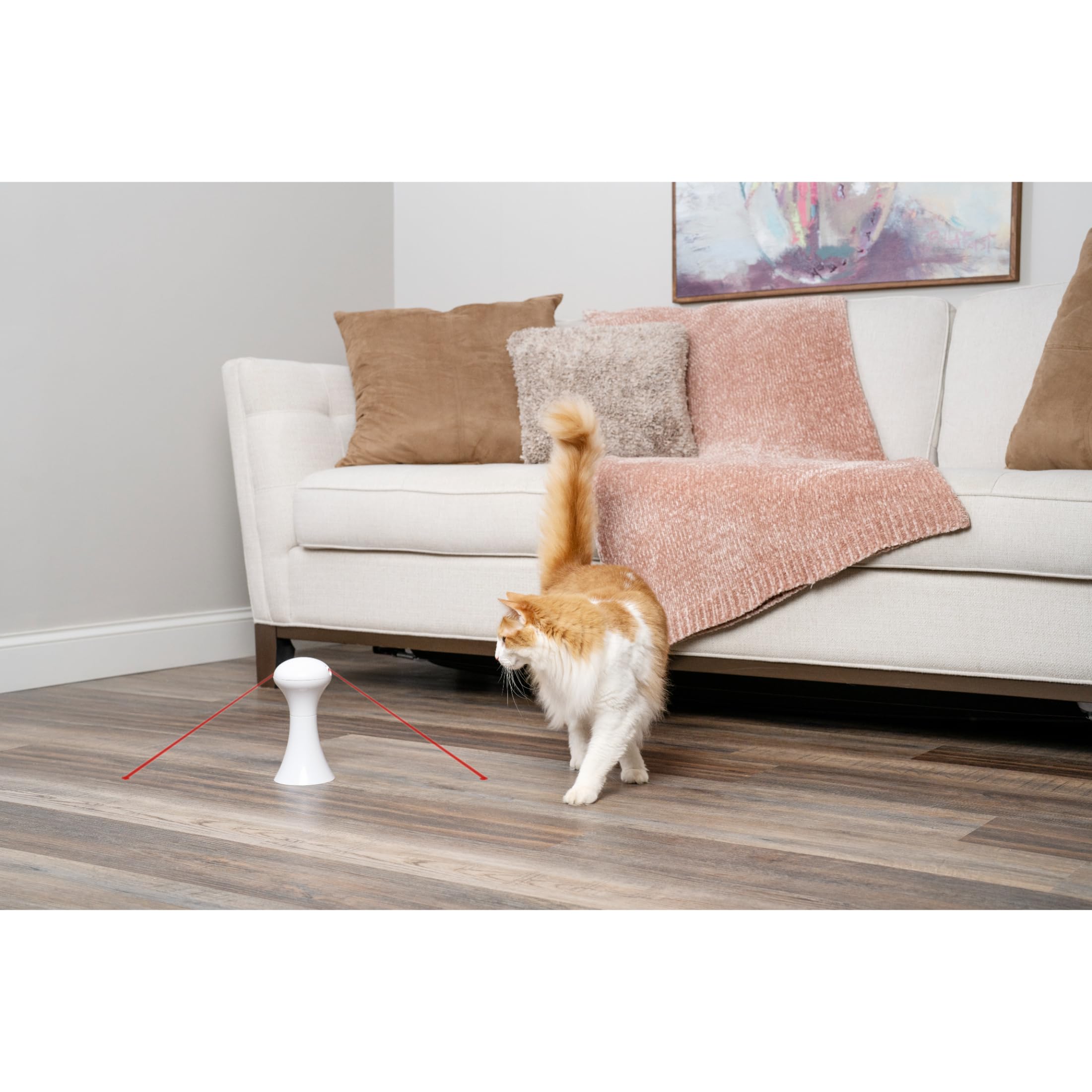 PetSafe Jouet Multi-Lumières pour Chats - 0,34 kg