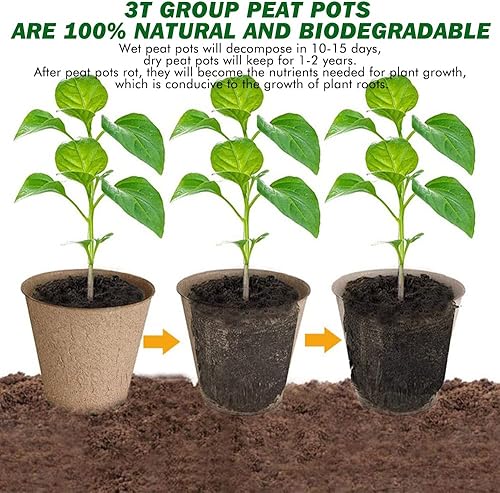 Miniatura 2 de 3T GROUP 50 macetas pequeñas de 3 pulgadas, macetas de semillas biodegradables, macetas compostables para plantas, tazas de turba desechables con