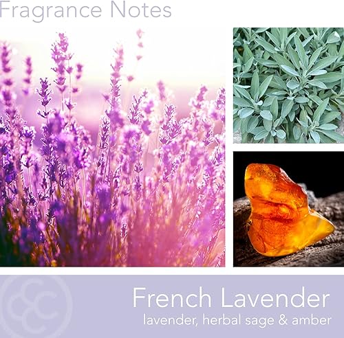 Vista 138 de Colonial Candle Vela perfumada en frasco, cilindros clásicos, brillo navideño, 2 mechas, 19 onzas, morado