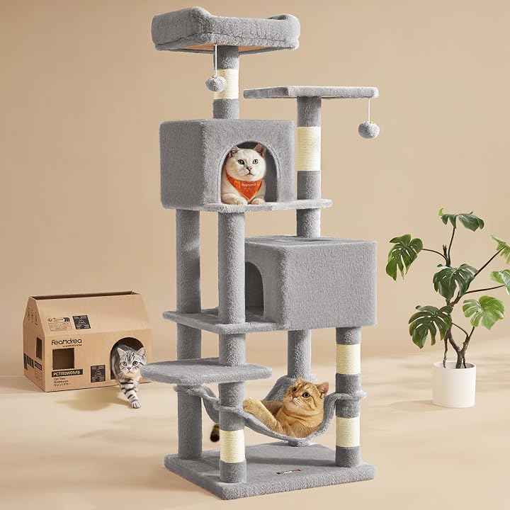 Transparent editorial object representing Lifestyle