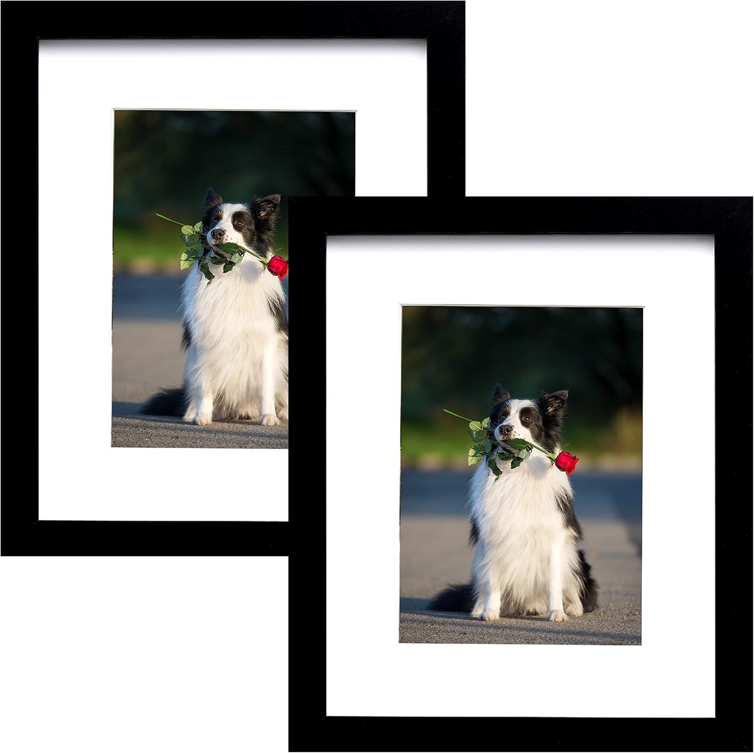 PEALSN Dual 8×10 Picture Frames with Real Glass and Mats