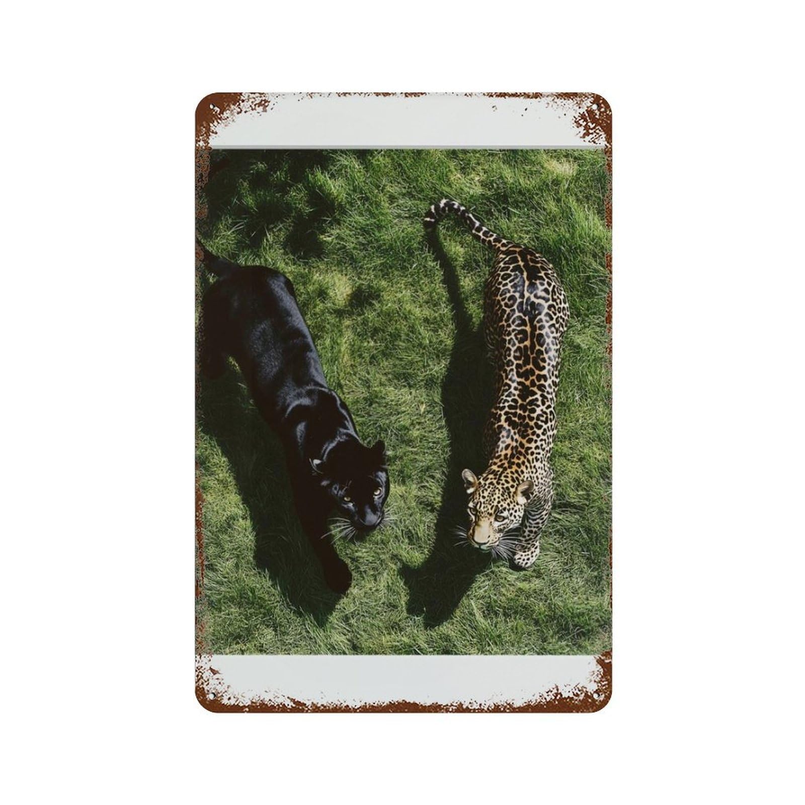 xiaoxiaoshen Black Panther, Leopard Wall Decor Art Metal Tin Poster Modern Home Decor Art Home Bar Shop Decorations Vintage Sign 30x20cm